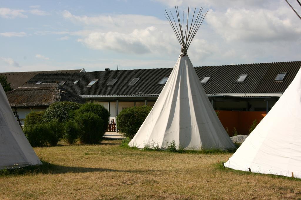 Storchencamp Gaestehaus Purbach Purbach am Neusiedlersee Luaran gambar
