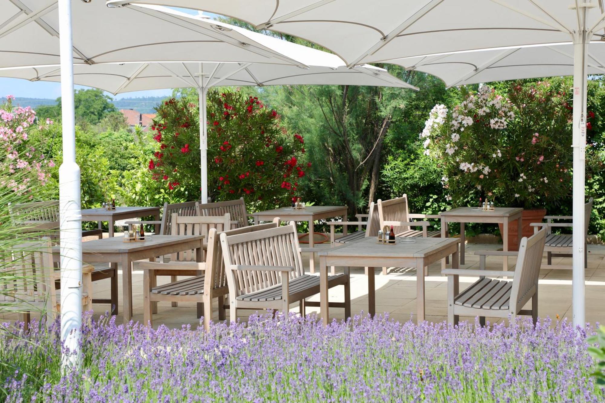 Storchencamp Gaestehaus Purbach Purbach am Neusiedlersee Luaran gambar