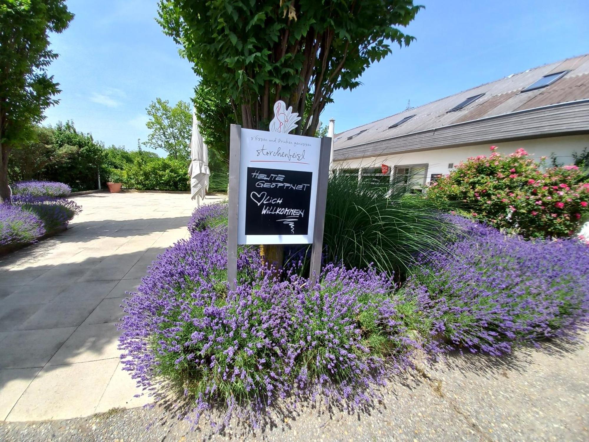 Storchencamp Gaestehaus Purbach Purbach am Neusiedlersee Luaran gambar