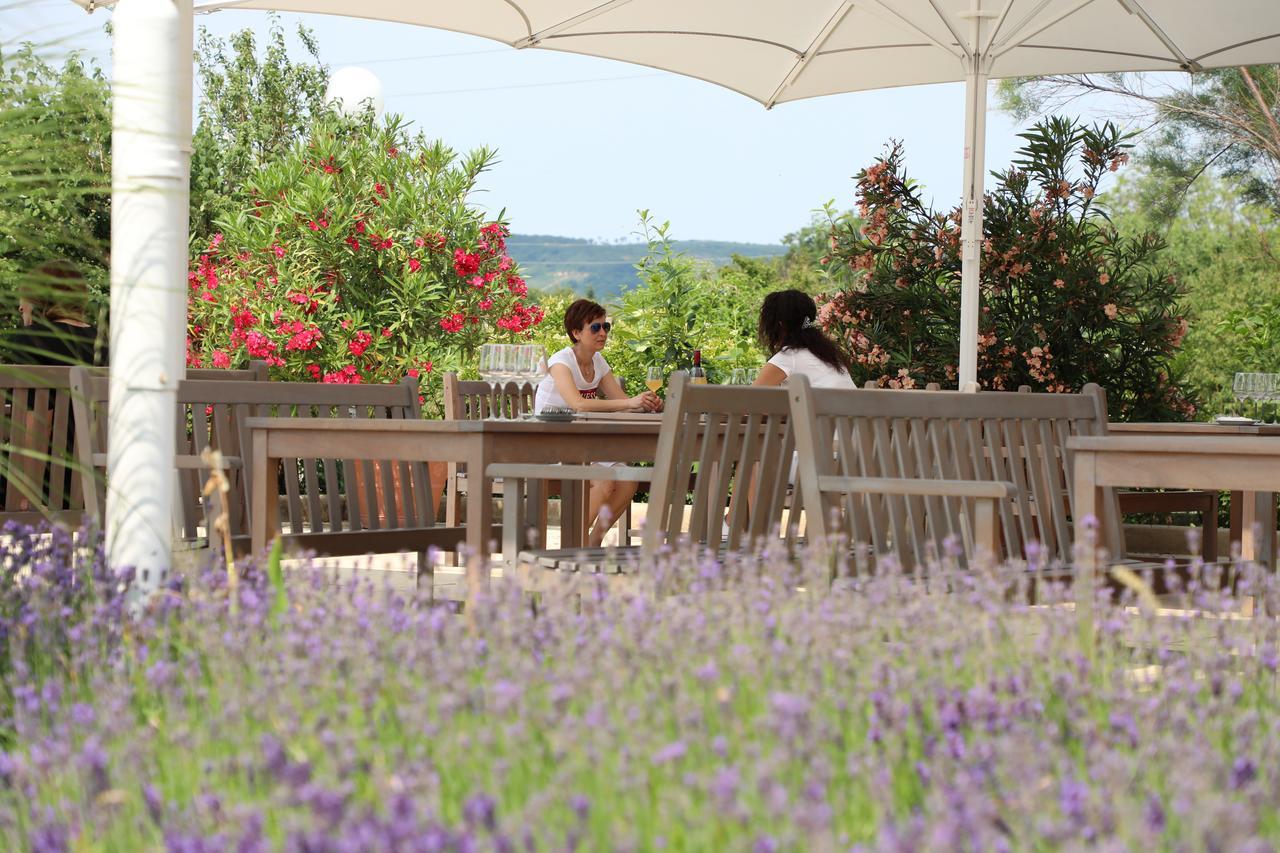Storchencamp Gaestehaus Purbach Purbach am Neusiedlersee Luaran gambar